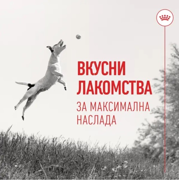 Royal Canin Training Treats - Лакомства за куче - 110 гр